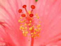 dscn9711_s.jpg